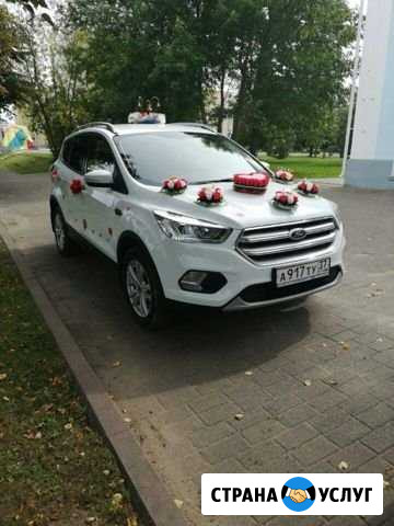 Свадебный кортеж Ford Kuga до 6 авто Кинешма - изображение 1