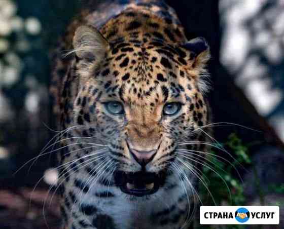 Капитальный ремонт мягкой рулонной кровли Заводской
