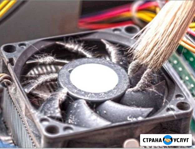 Компьютерные услуги Шира - изображение 1