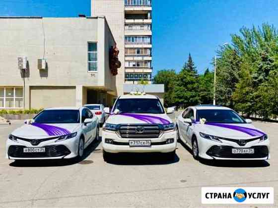 Свадебные кортежи с украшениями. Авто на свадьбу Волгоград
