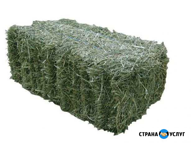 Сено в кипах и рулонах Вязники - изображение 1