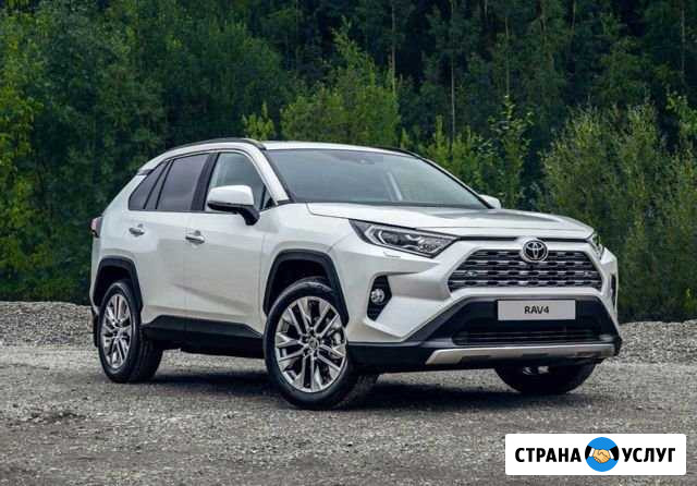 Авто на свадьбу Toyota RAV4 2020г.в Арзамас - изображение 1
