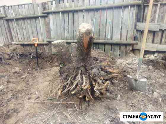 Земляные работы, корчевание пней, копка Иваново