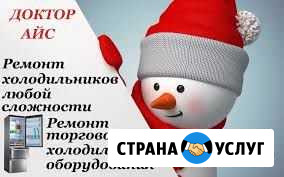 Ремонт холодильников Мичуринск - изображение 1