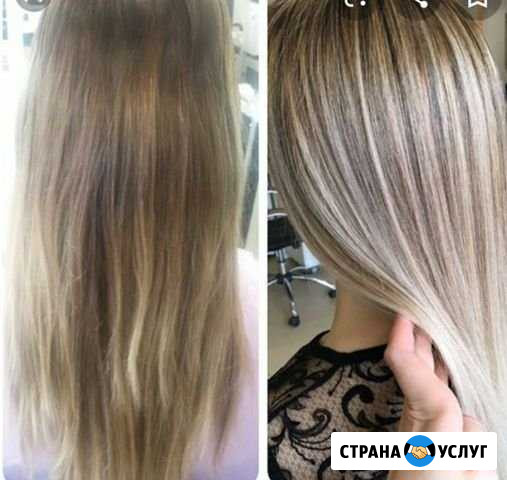Колорист Курск - изображение 1