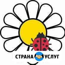 Бухгалтер профессионал Дмитров - изображение 1