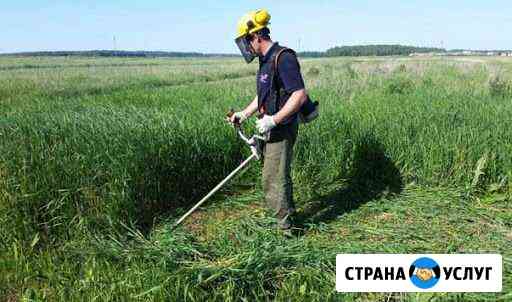 Покос травы, вывоз мусора Борисоглебск