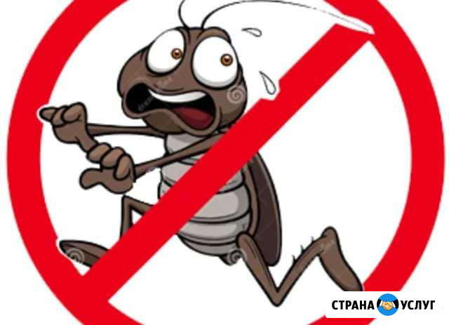 Санобработка. Уничтожение клопов и тараканов Тольятти - изображение 1