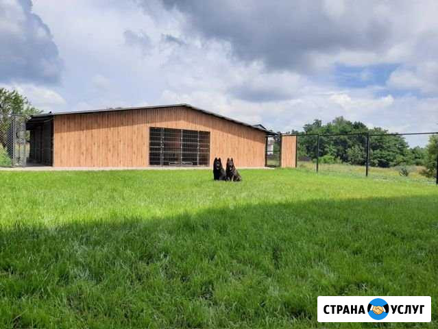 Вольерная передержка собак Белгород - изображение 1