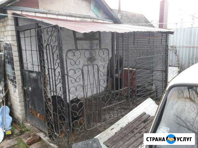 Передержка животных Кропоткин - изображение 1