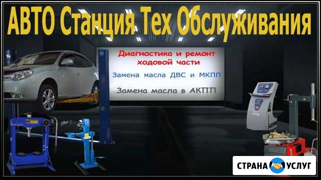 Сто на радищева Тара - изображение 1