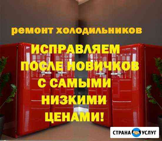 Ремонт холодильников. Делаем, а не ломаем Набережные Челны
