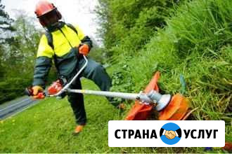 Покос травы, скос травы Новокузнецк - изображение 1