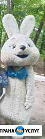 Фото услуги Сочи