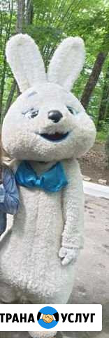 Фото услуги Сочи - изображение 1