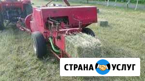 Заготовка сена.Услуги пресс подборщик тюковый Александровское - изображение 1