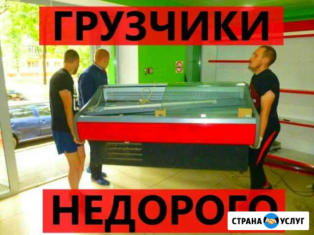 Грузчики Новосибирск - изображение 1