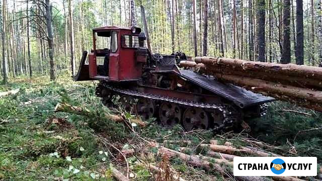 Лесозаготовки Шарья - изображение 1