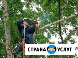 Пилим деревья Каспийск - изображение 1