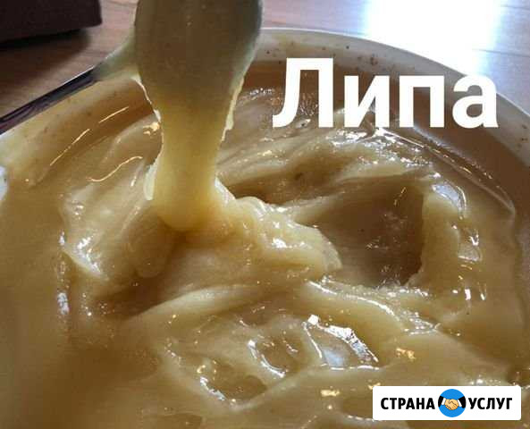 Мёд Снегири - изображение 1
