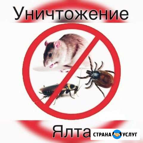 Дезинфекция тараканов, клопов, крыс Ялта - изображение 1