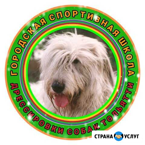 Дрессировка собак Тольятти - изображение 1
