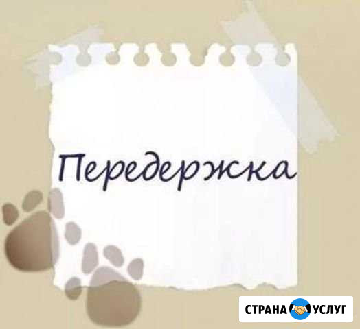 Передержка собак мелких пород, грызунов и птиц Химки - изображение 1