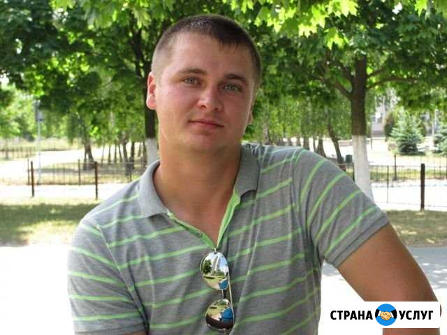 Профессионально настрою рекламу В Яндекс.Директ Воронеж - изображение 1