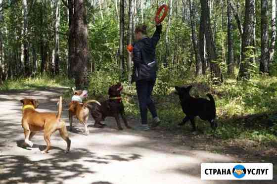 Зоогостиница, домашняя передержка Железногорск