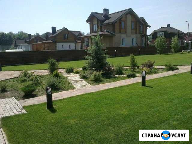 Рулонный газон, озеленение, уход за садом Казань - изображение 1