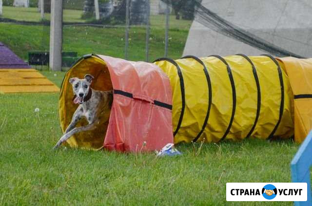 Фотограф анималист Строитель - изображение 1
