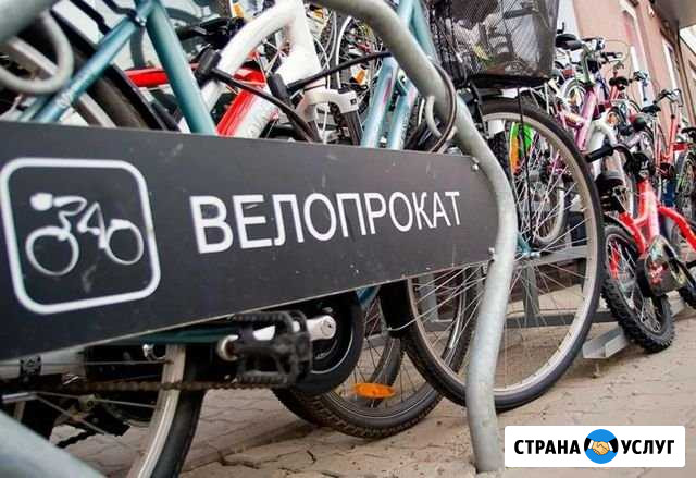Прокат велосипедов Сочи - изображение 1
