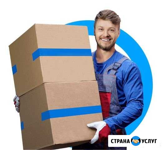 Грузчики Мегион - изображение 1