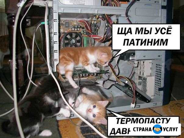 Ремонт компьютеров в Новодвинске Новодвинск - изображение 1