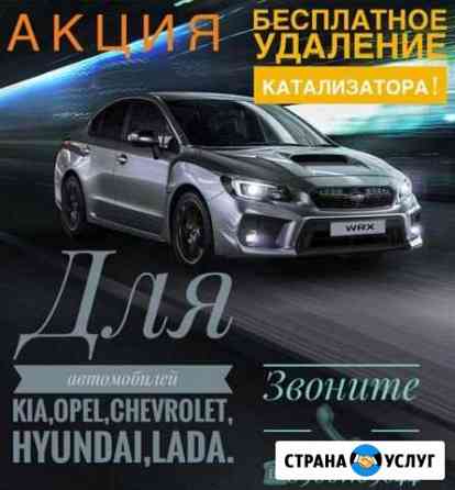 Удаление катализатора.Бесплатно Елабуга