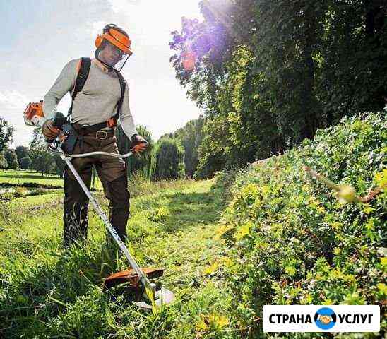 Уборка Лобня