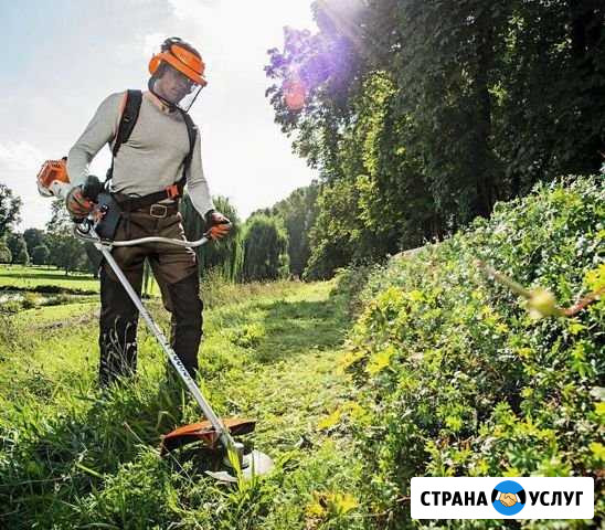 Уборка Лобня - изображение 1