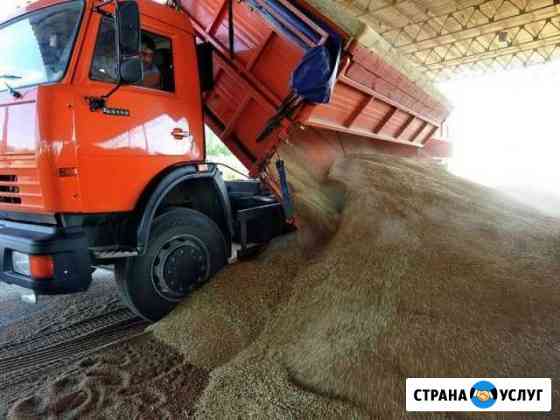 Камазы, спмосвалы,грузоперевозки зерна Липецк