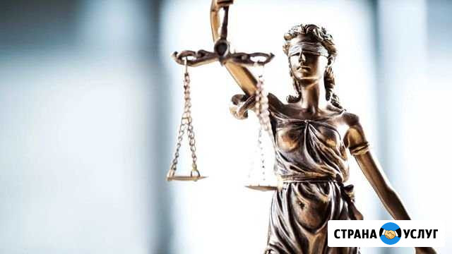 Юрист Всеволожск - изображение 1