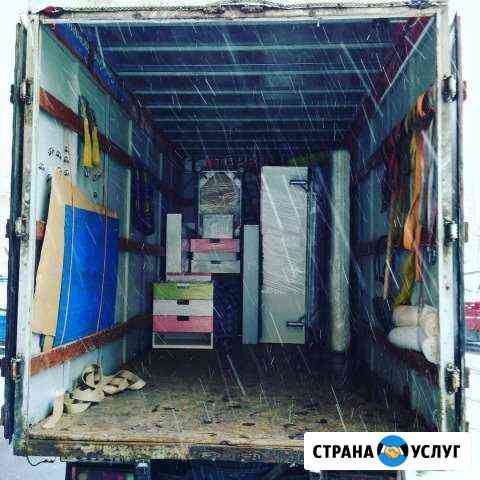 Грузоперевозки Грузчики Переезды Все Районы спб Ло Санкт-Петербург