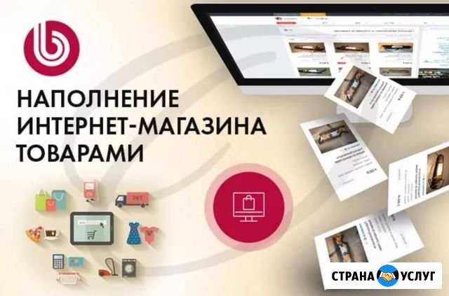 Наполнение сайтов и интернет-магазинов Люберцы - изображение 1