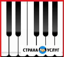 Игра на фортепиано или синтезаторе для всех Лиски - изображение 1