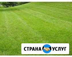 Работа на участке Светлогорск - изображение 1