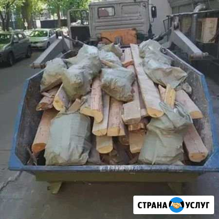 Вывоз мусора Пушкино Пушкино - изображение 1