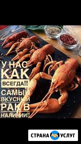 Живые, вареный Раки Ставрополь - изображение 1