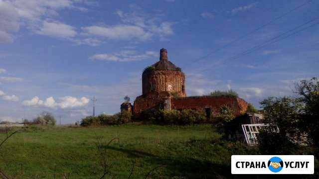 Спил деревьев Саранск - изображение 1