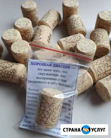 Школа голоса и речи Барнаул - изображение 1