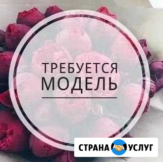 Модели на перманентный макияж бровей Краснодар - изображение 1