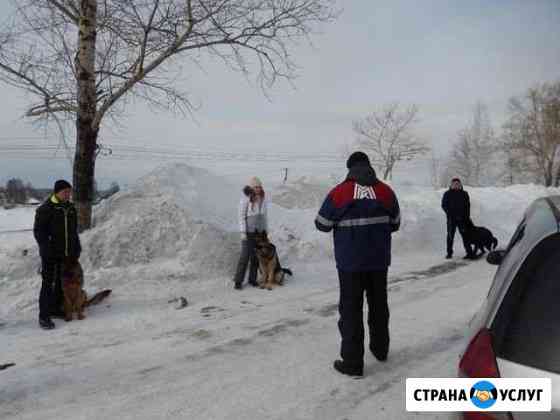 Дрессировка собак Новокузнецк