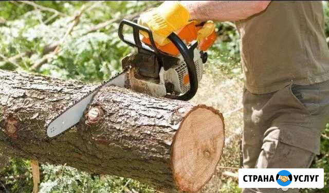 Спил Деревьев Черкесск - изображение 1